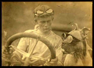 Illustration for article titled The Ten Best Cars For Dog Owners